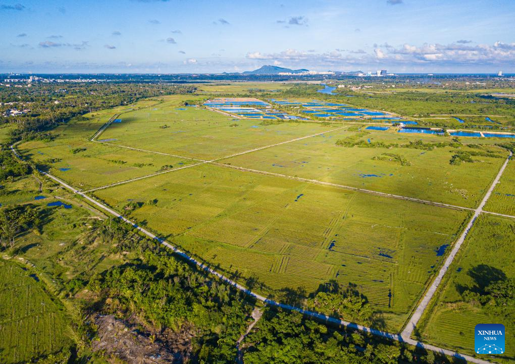 Village of S China's Hainan advances rural revitalization