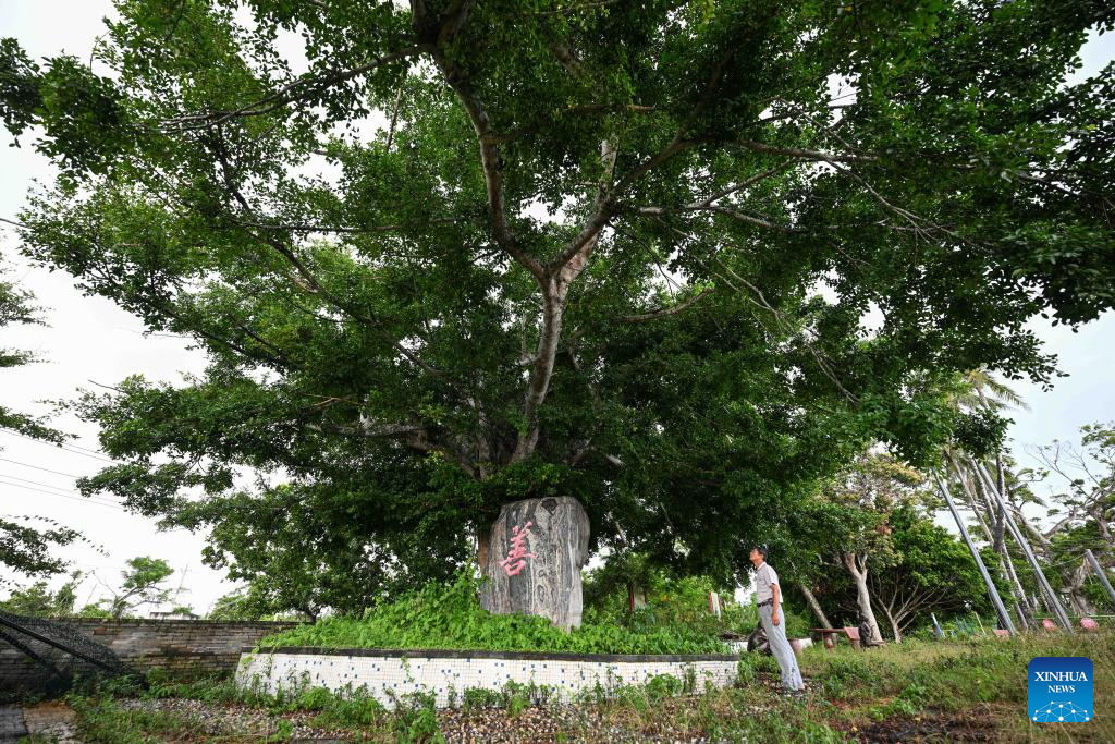 Village of S China's Hainan advances rural revitalization