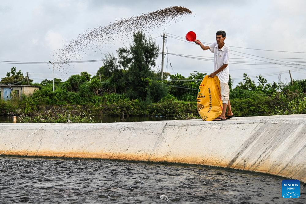 Village of S China's Hainan advances rural revitalization