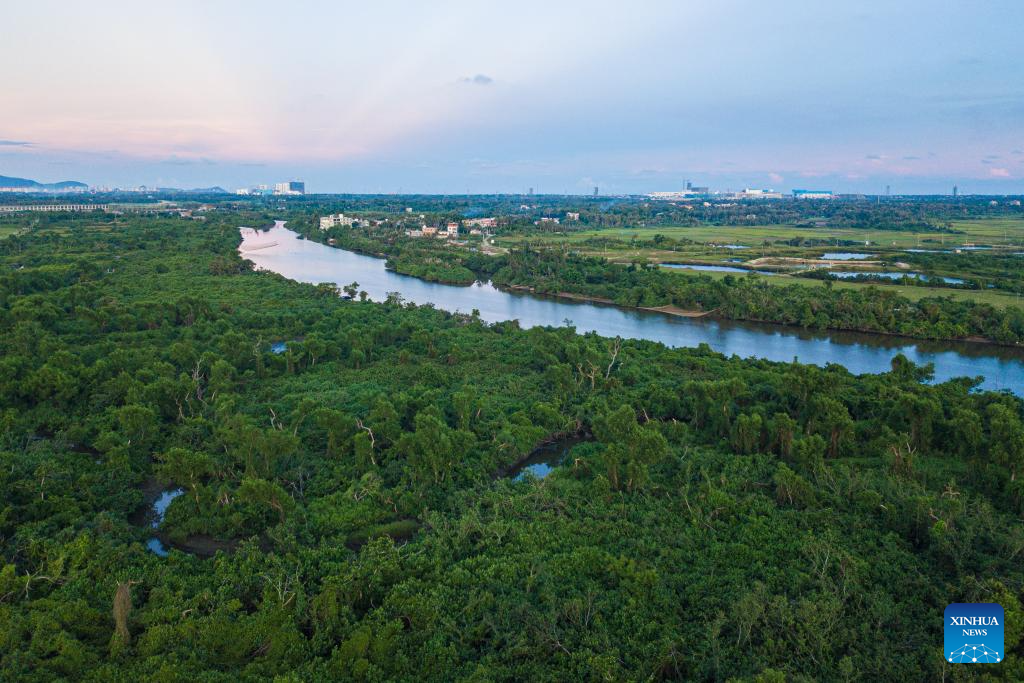 Village of S China's Hainan advances rural revitalization
