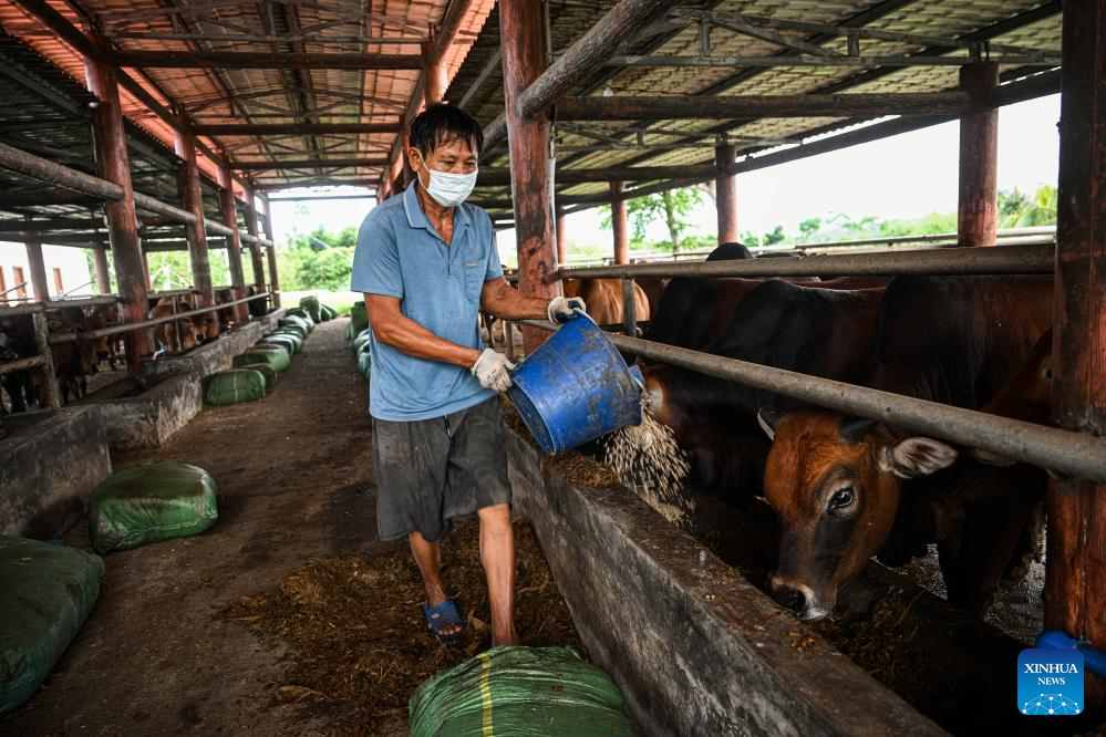 Village of S China's Hainan advances rural revitalization