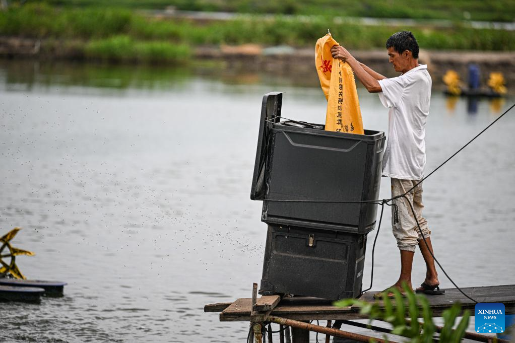 Village of S China's Hainan advances rural revitalization