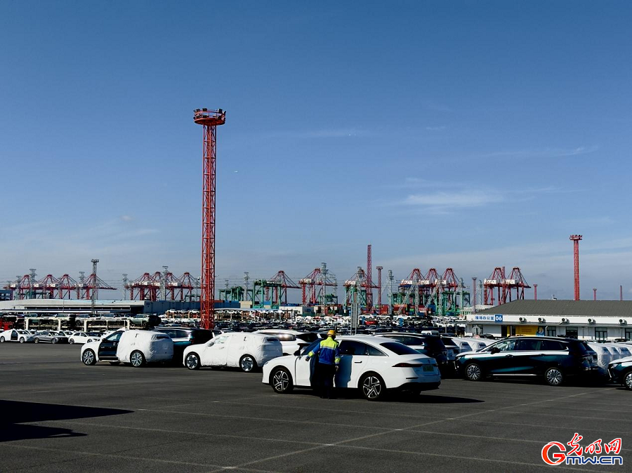 Made-in-China vehicles shipped from Shanghai Waigaoqiao Port to the globe