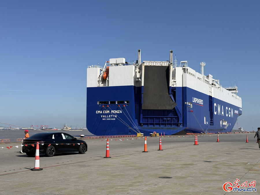 Made-in-China vehicles shipped from Shanghai Waigaoqiao Port to the globe