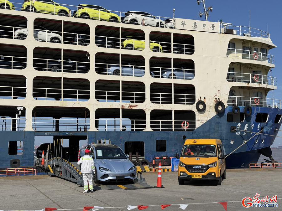 Made-in-China vehicles shipped from Shanghai Waigaoqiao Port to the globe