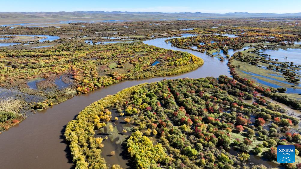 View of wetland around Ergune River in China's Inner Mongolia