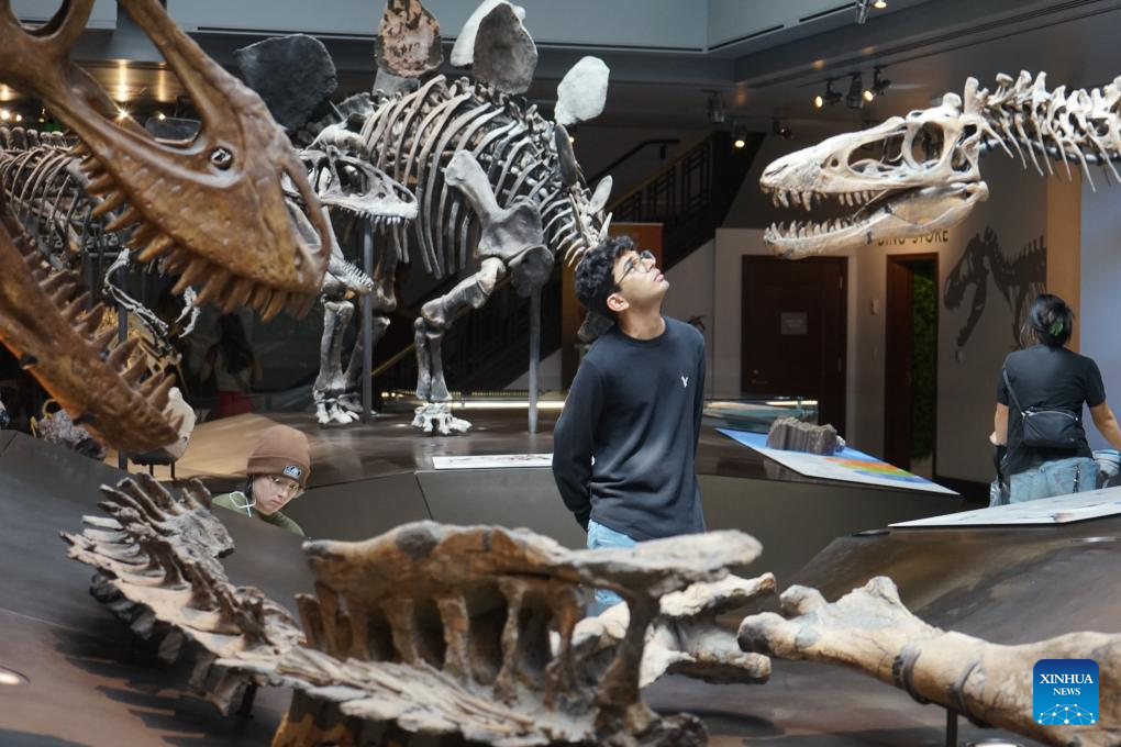 Natural History Museum of Los Angeles County opens its 10th annual Dino Fest