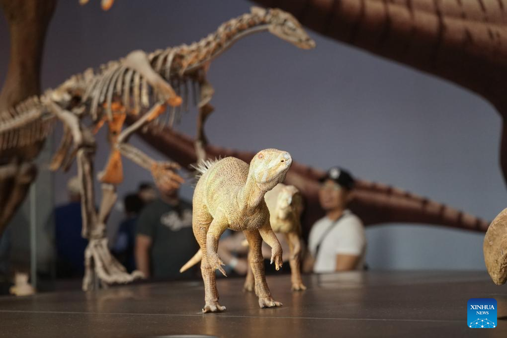 Natural History Museum of Los Angeles County opens its 10th annual Dino Fest