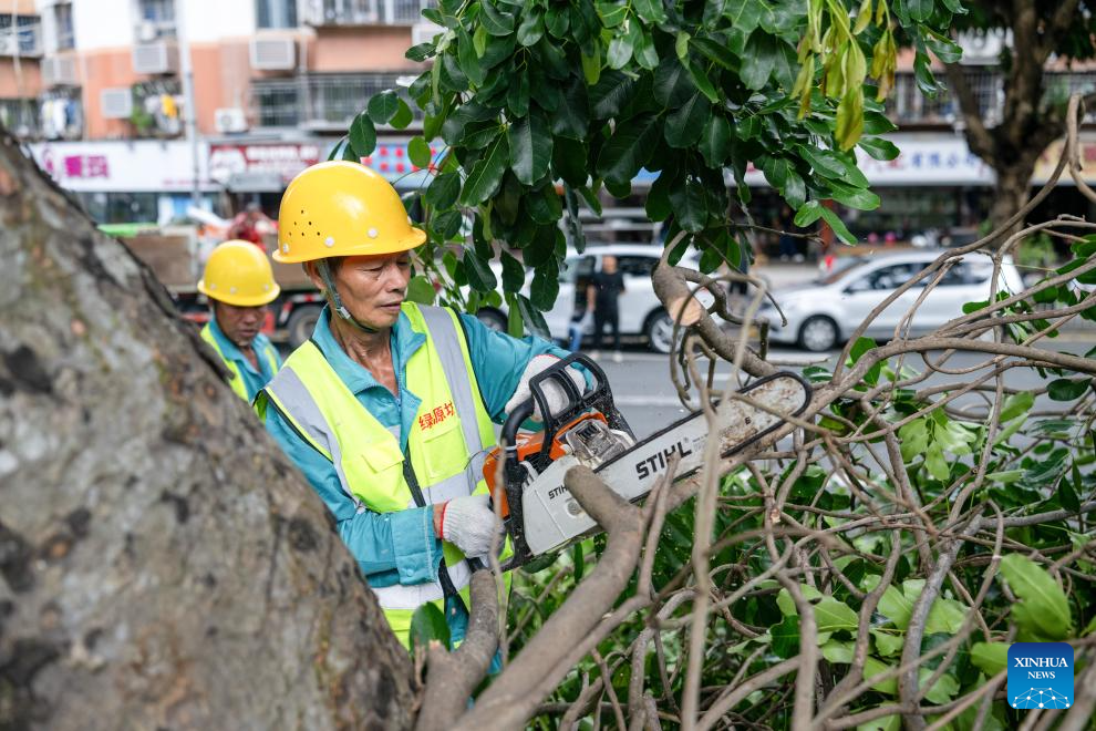 China Focus: South China goes all out, bracing for super typhoon Ragasa