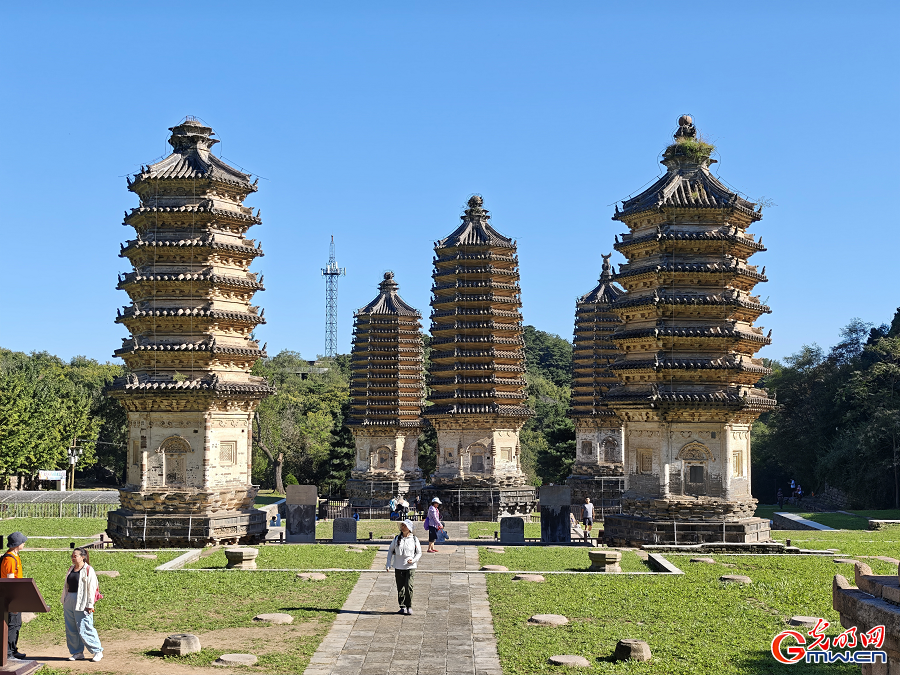 Autumn Serenity at Beijing's Yingshan Pagoda Forest
