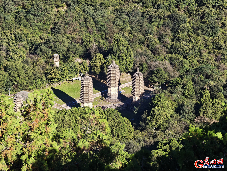 Autumn Serenity at Beijing's Yingshan Pagoda Forest