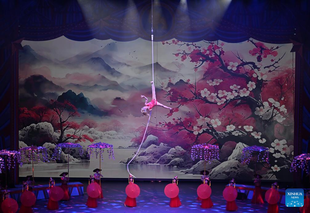 Int'l circus festival opens in China's