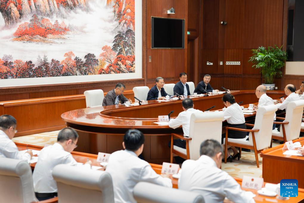 China's top legislator urges stronger role for people's congresses