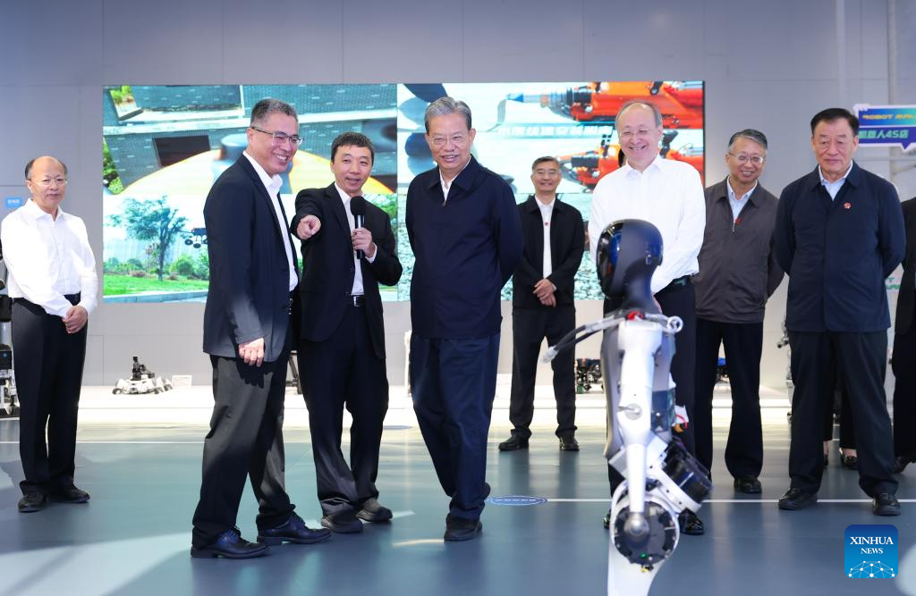 China's top legislator urges stronger role for people's congresses