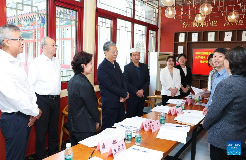 China's top legislator urges stronger role for people's congresses