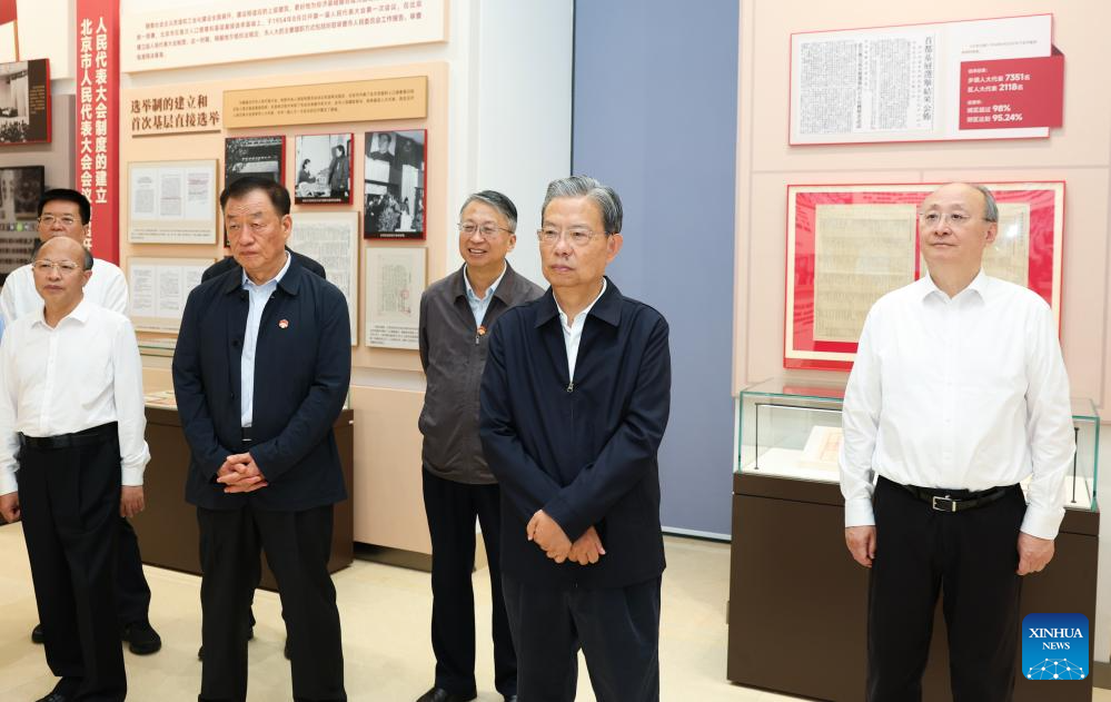 China's top legislator urges stronger role for people's congresses