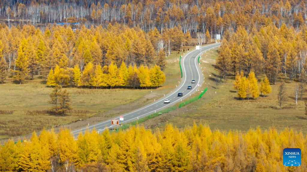Stunning autumn scenery of Inner Mongolia, N China