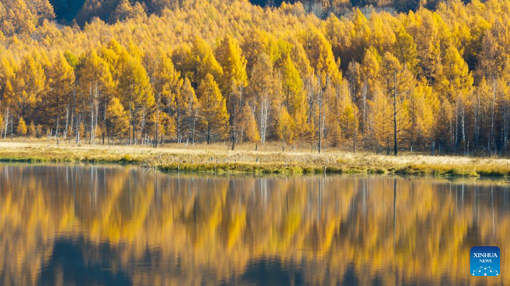 Stunning autumn scenery of Inner Mongolia, N China