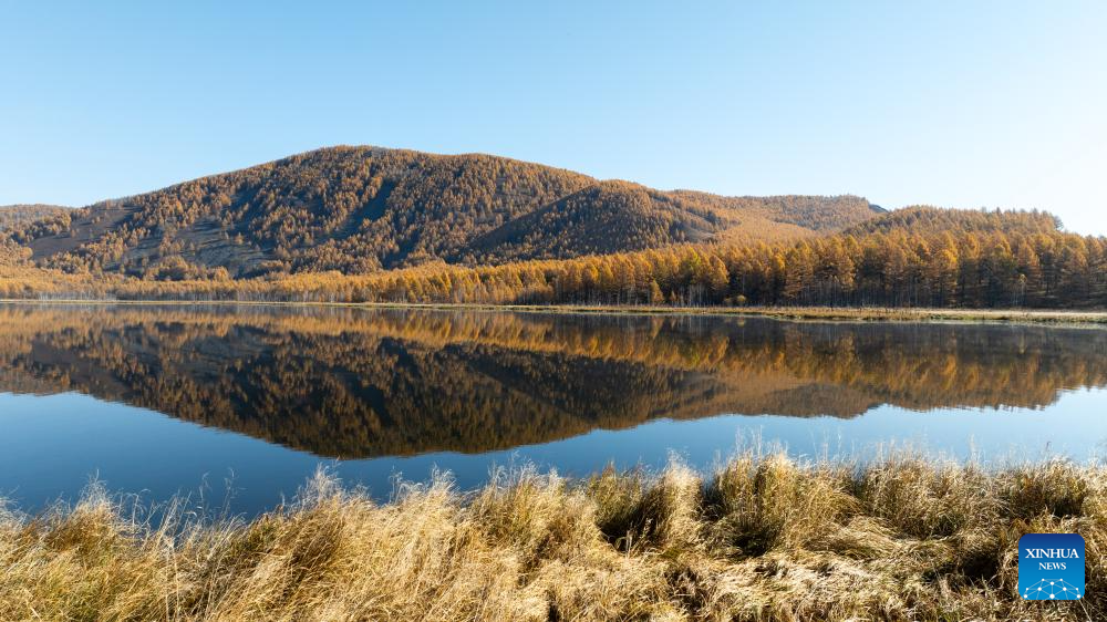 Stunning autumn scenery of Inner Mongolia, N China