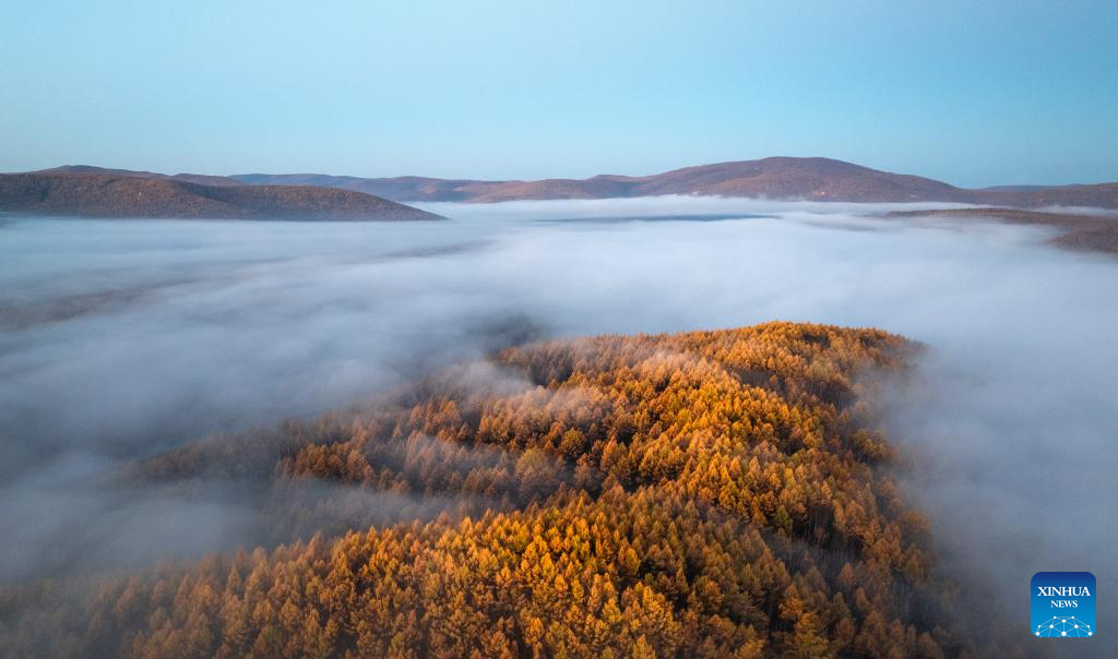 Stunning autumn scenery of Inner Mongolia, N China
