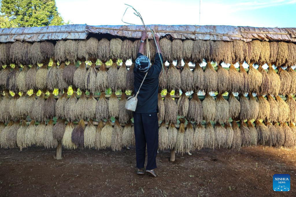 People celebrate Seren Taun in Sukabumi regency, Indonesia
