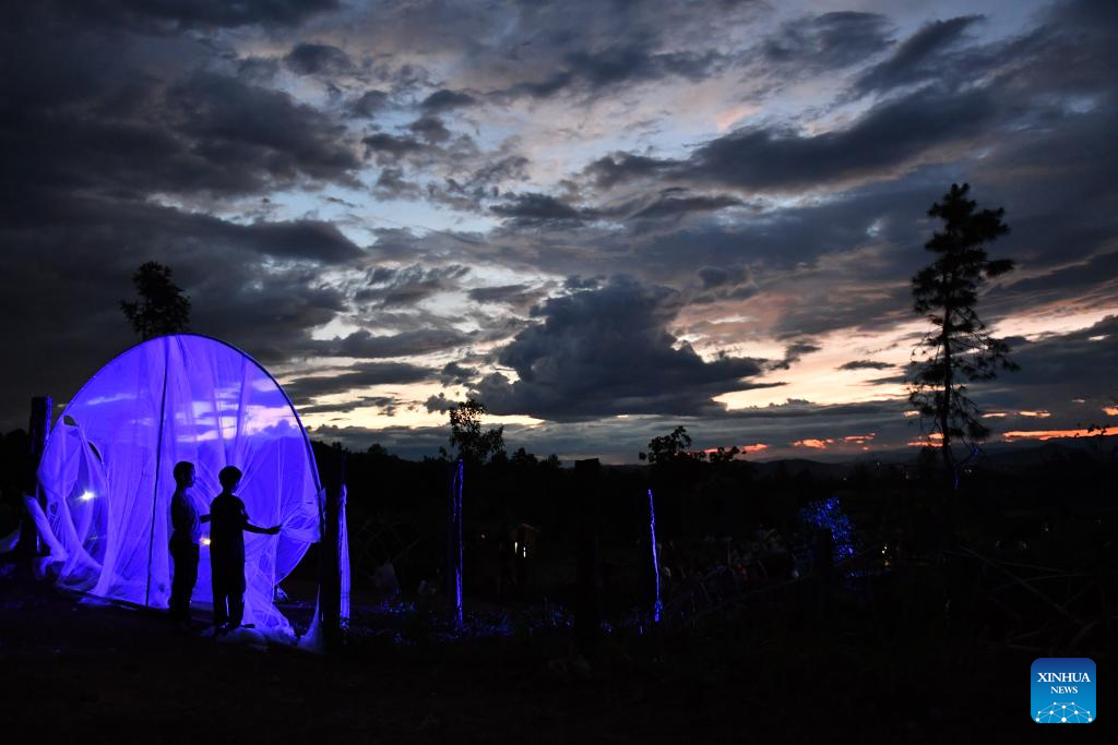 Feature: Chinese artist brings color to rural childhoods