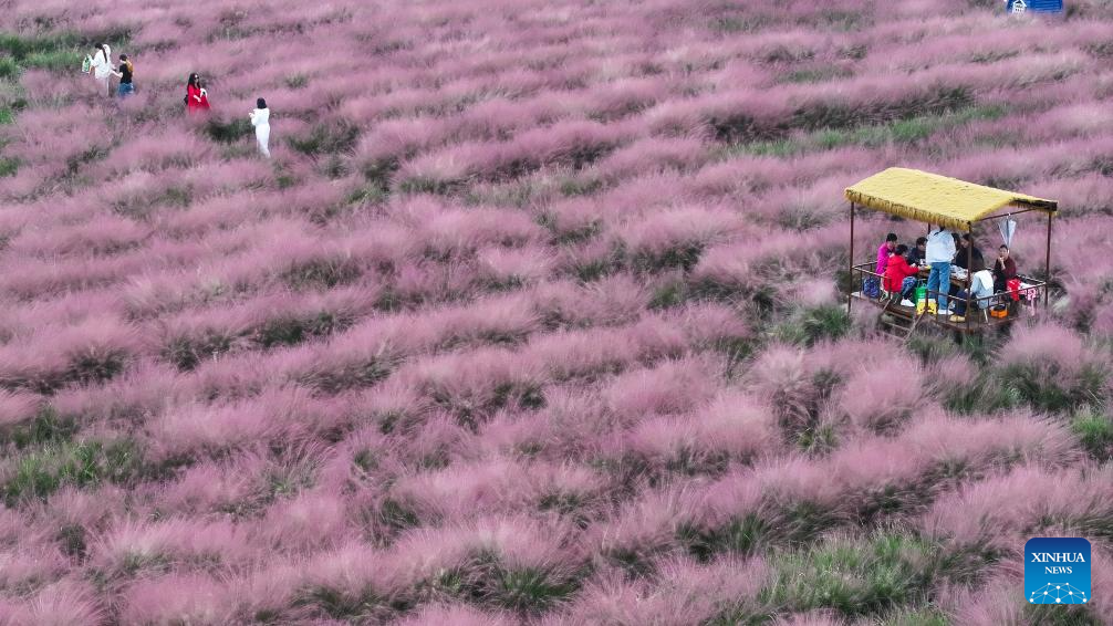 Autumn scenery across China