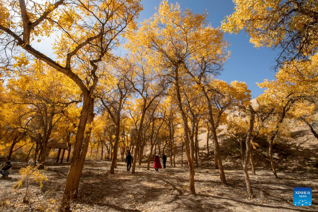 Autumn scenery across China