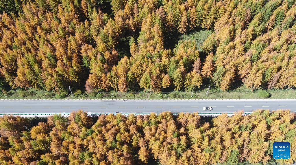 Autumn scenery across China