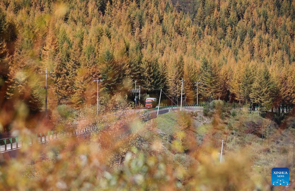 Autumn scenery across China