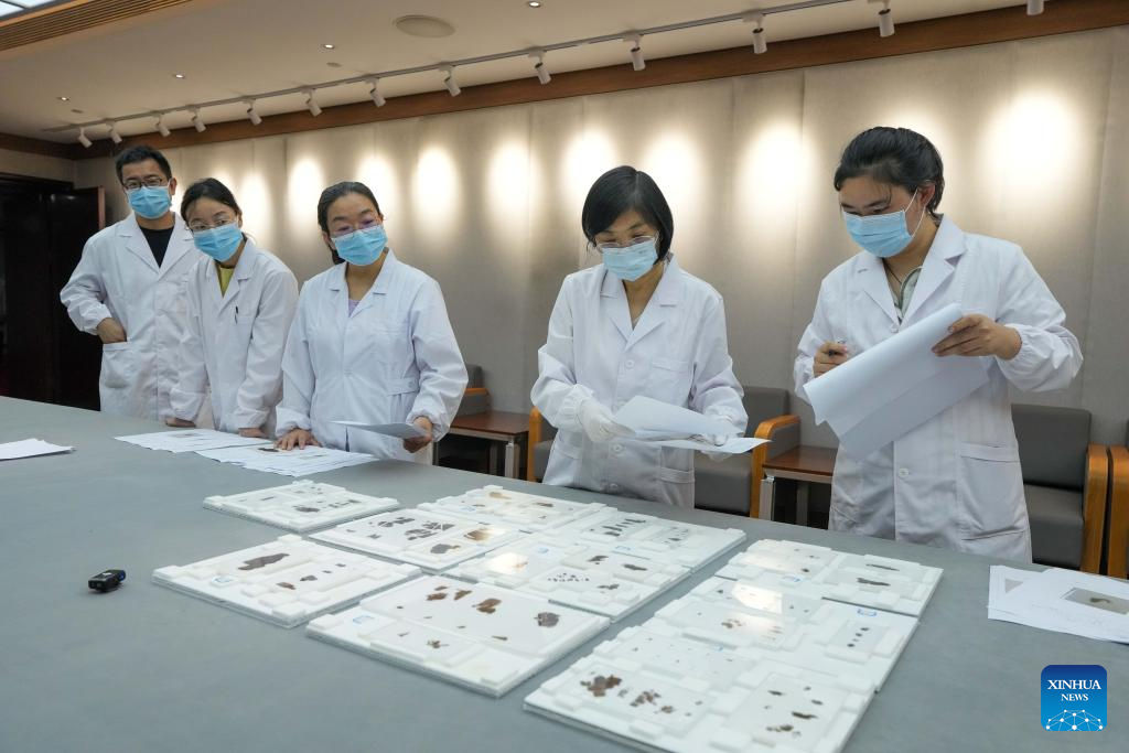 China Focus: 2,300-year-old Chinese silk manuscripts finally return home after decades abroad