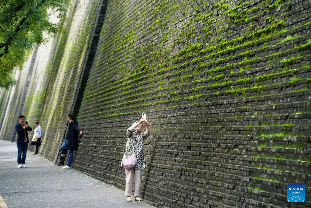City wall covered with green coat attracts visitors in Xi'an, NW China