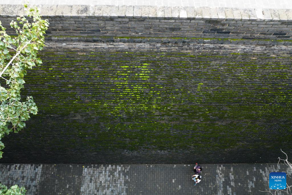 City wall covered with green coat attracts visitors in Xi'an, NW China