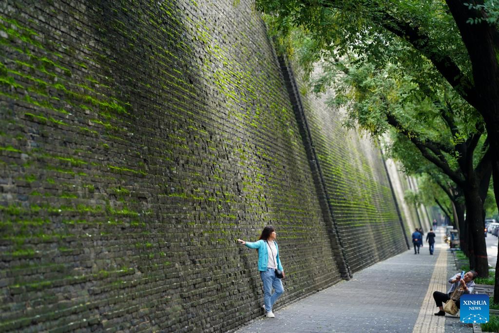 City wall covered with green coat attracts visitors in Xi'an, NW China