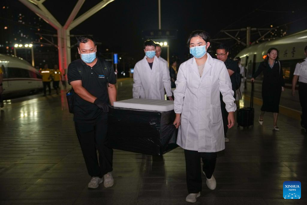 China Focus: 2,300-year-old Chinese silk manuscripts finally return home after decades abroad