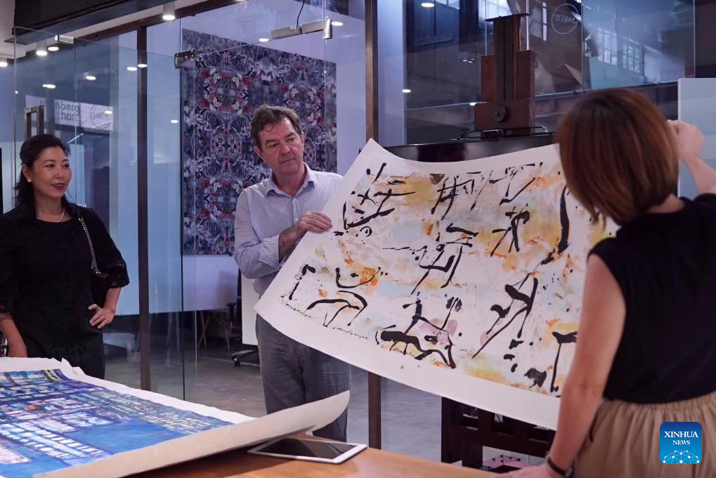 Feature: Australian artist's 20-year career exploring Chinese art, culture