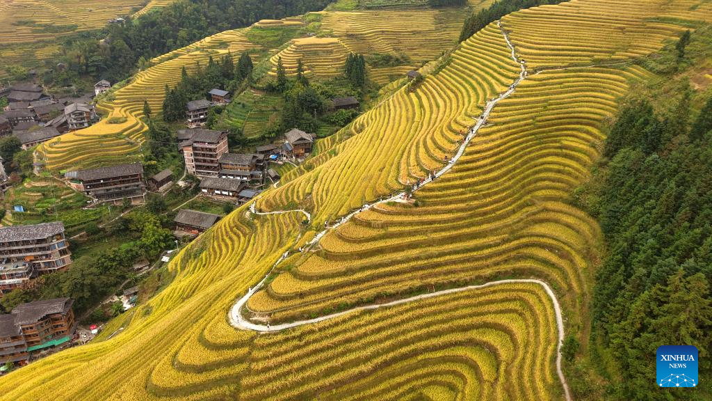 Autumn scenery across China