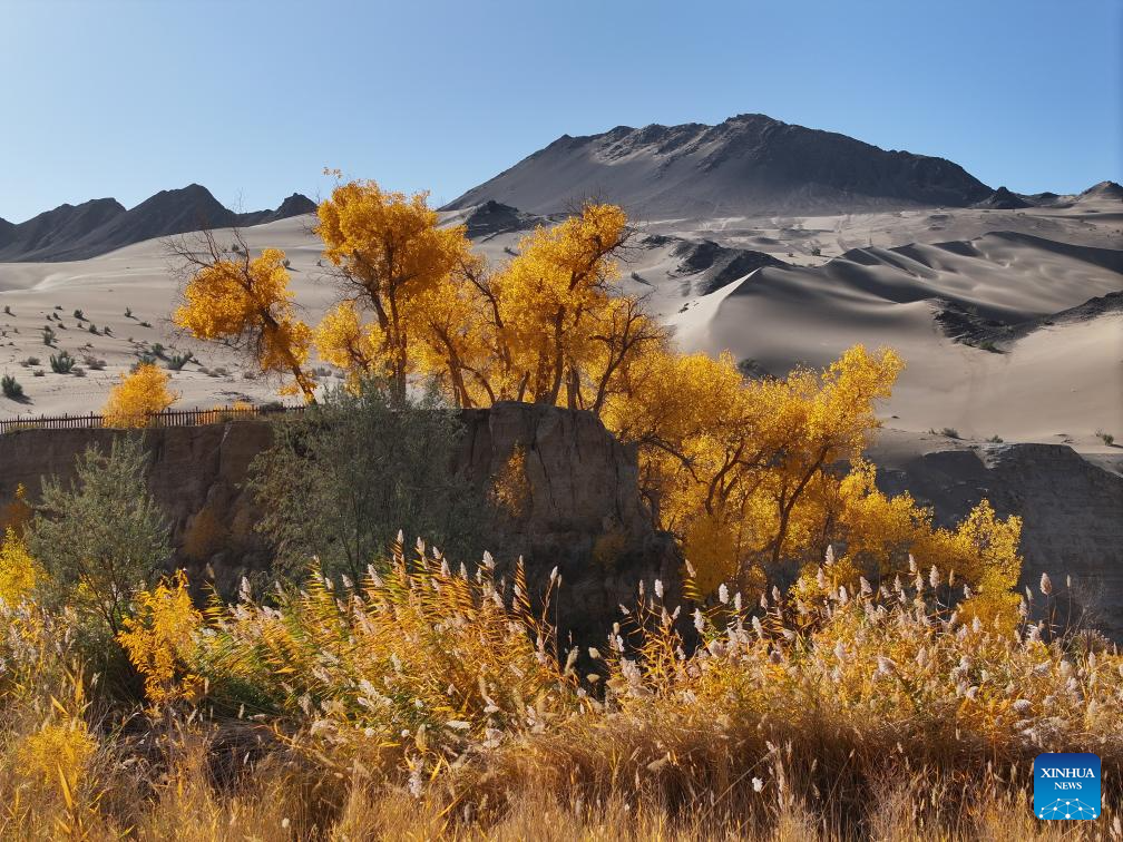 Autumn scenery across China