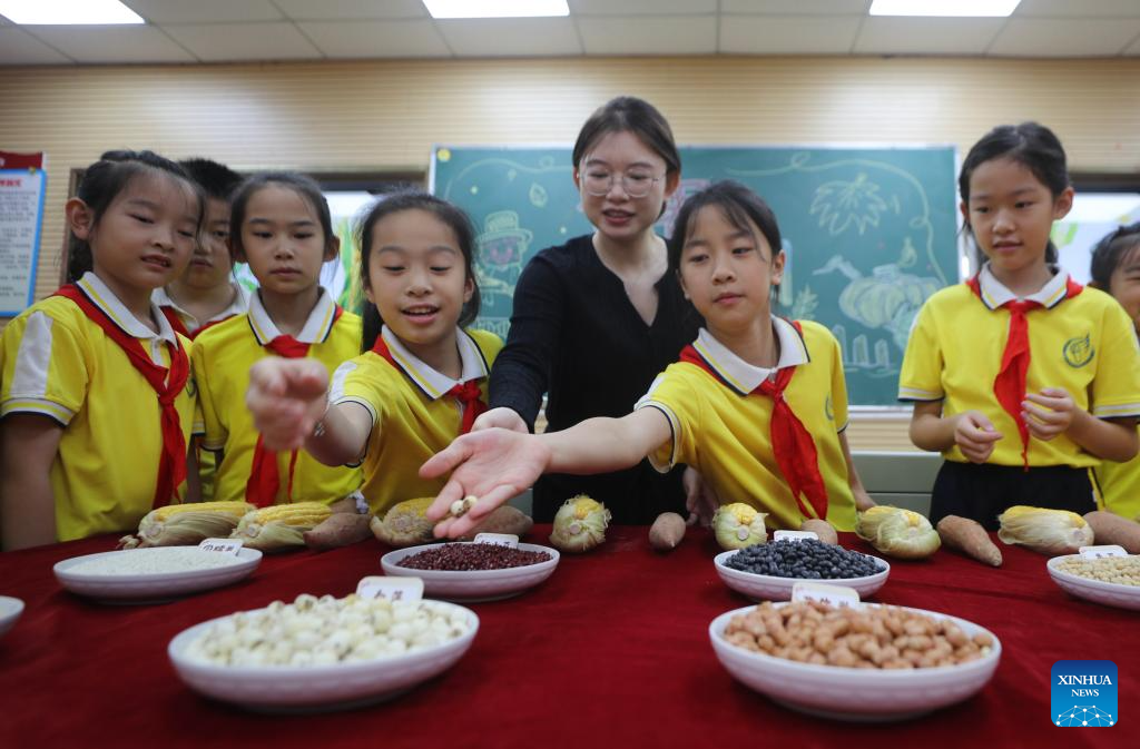 Theme events carried out across China to mark upcoming World Food Day