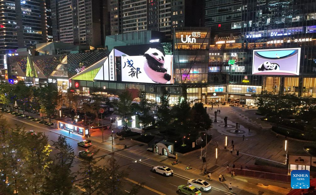 Glasses-free 3D panda becomes iconic local attraction in Chengdu, SW China