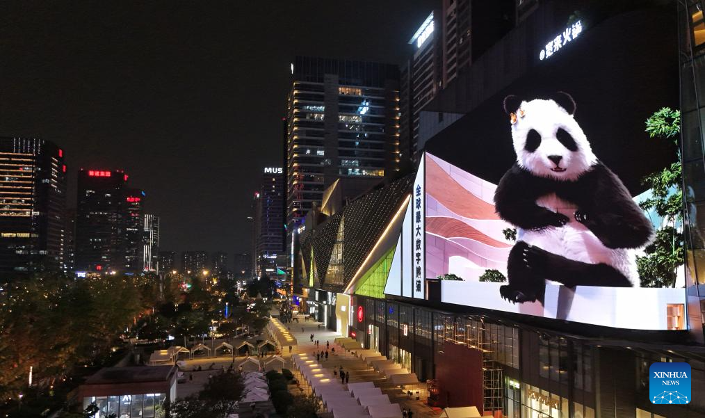 Glasses-free 3D panda becomes iconic local attraction in Chengdu, SW China