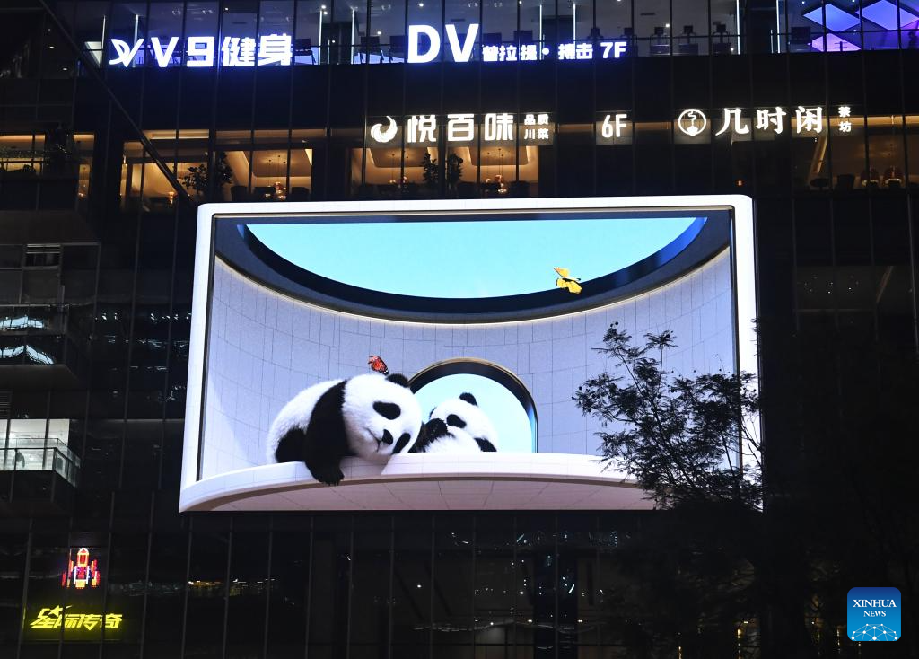 Glasses-free 3D panda becomes iconic local attraction in Chengdu, SW China