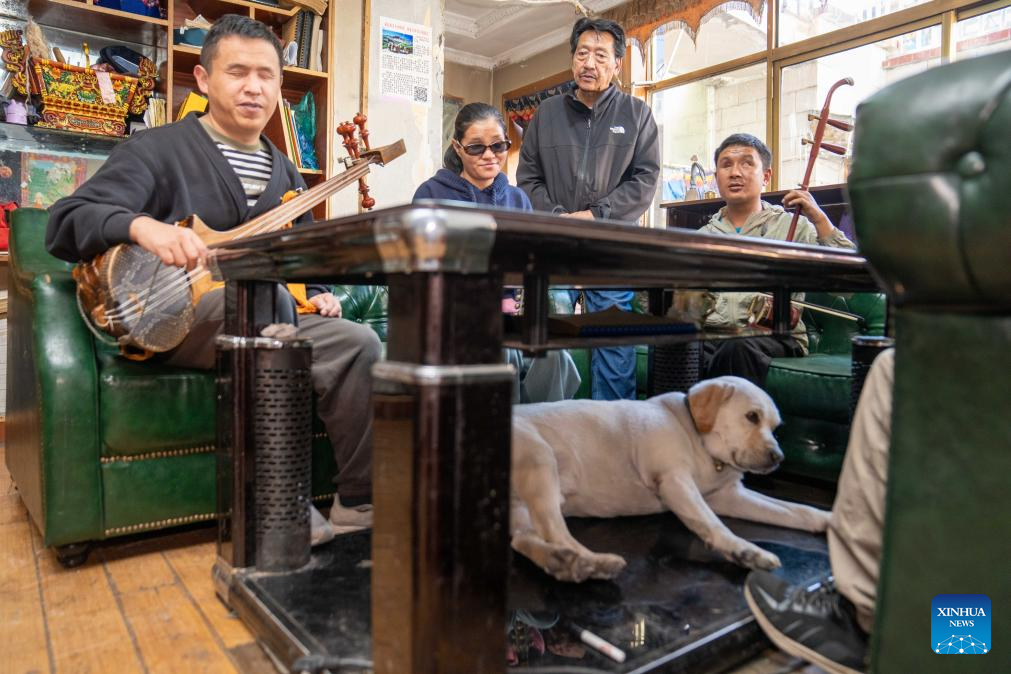 Music lights path for Xizang's first band composed of visually-impaired members