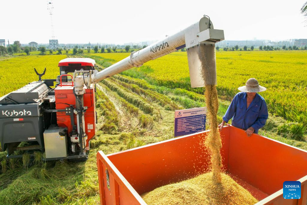 China enters peak autumn harvest season