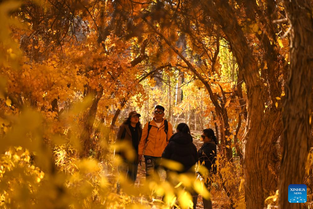 Golden autumn days draw people outdoors across China