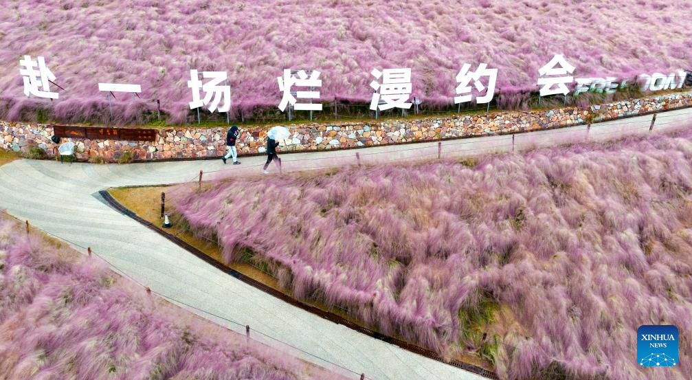 Golden autumn days draw people outdoors across China