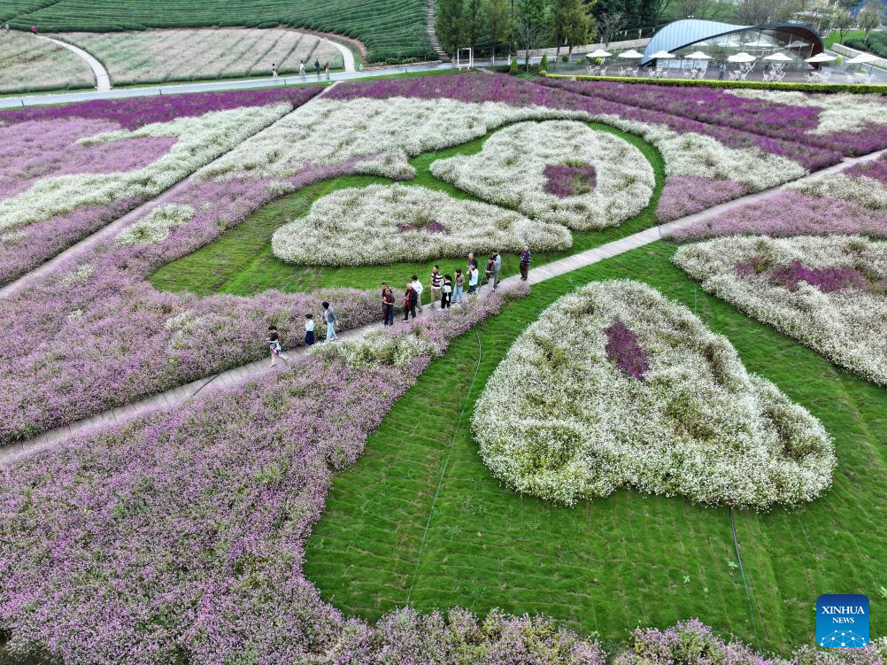Golden autumn days draw people outdoors across China
