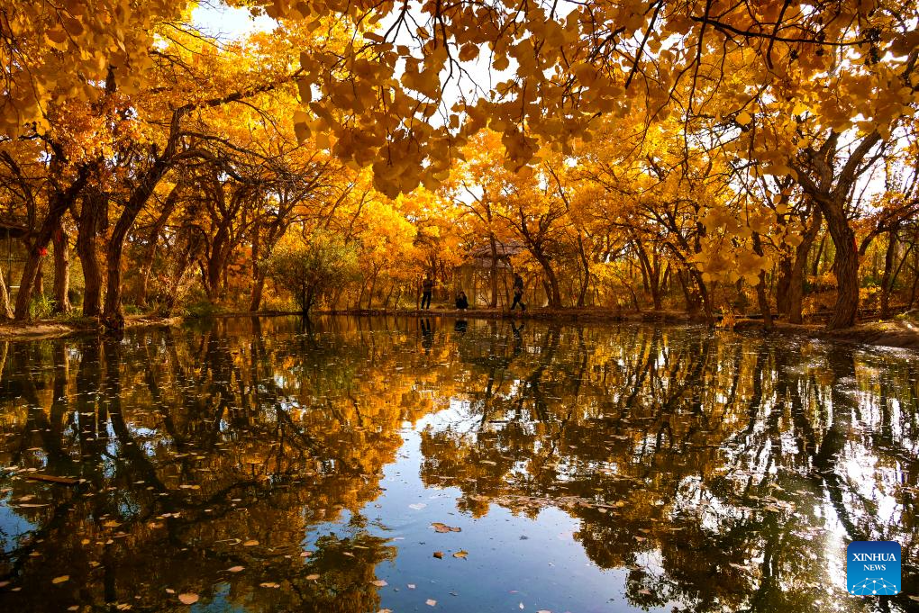 Golden autumn days draw people outdoors across China