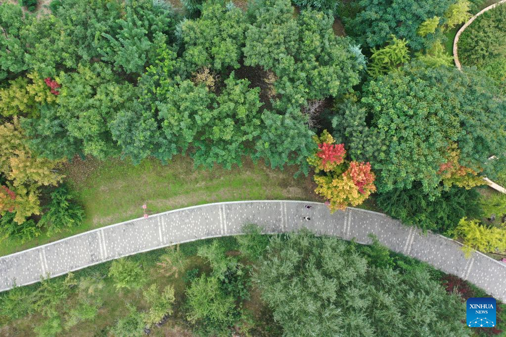 Golden autumn days draw people outdoors across China