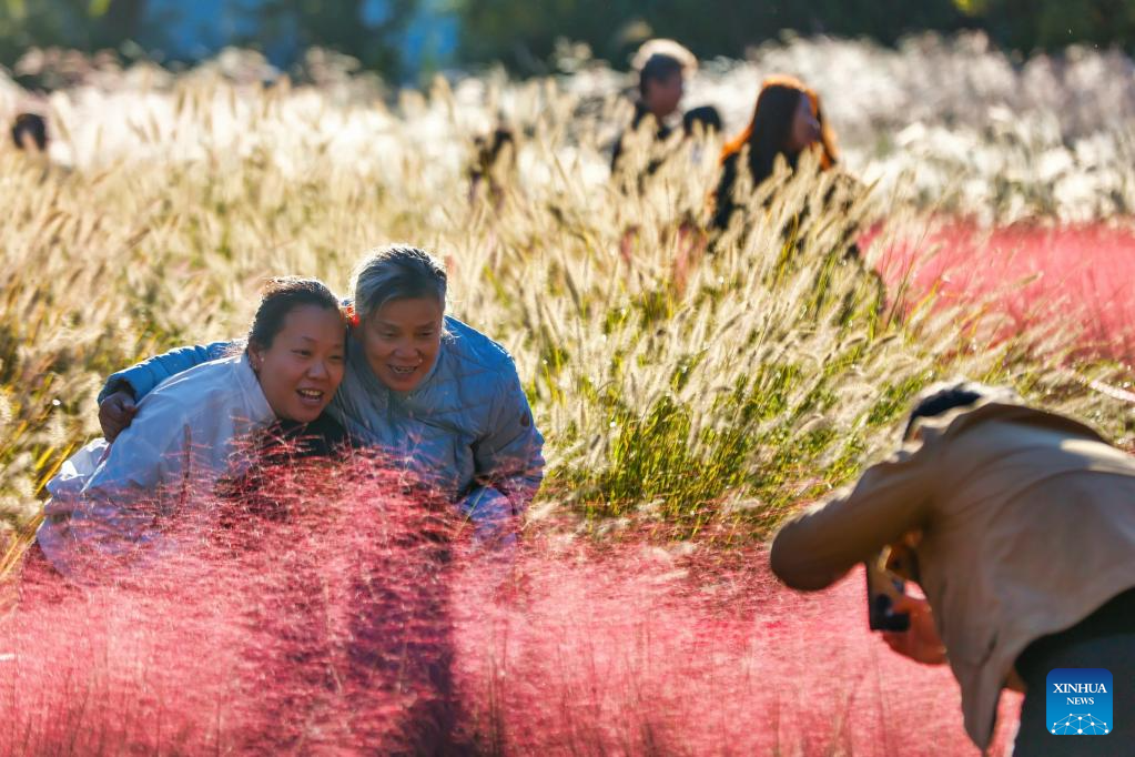 Golden autumn days draw people outdoors across China